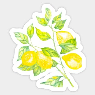 lemonade Sticker